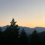 Nepouzivat Zazi