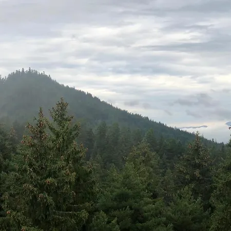 Nepouzivat Zazi Apartmán Liptovský Ján