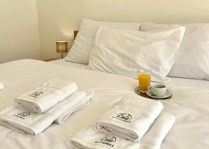 Appartement Nepouzivat Zazi *