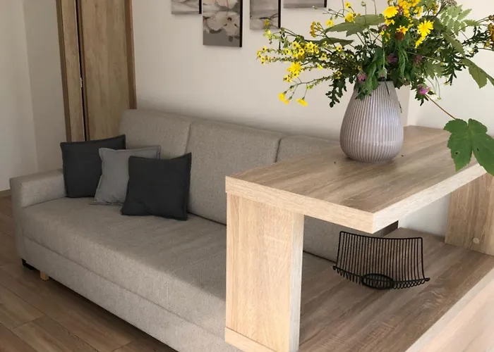 Nepouzivat Zazi Appartement *