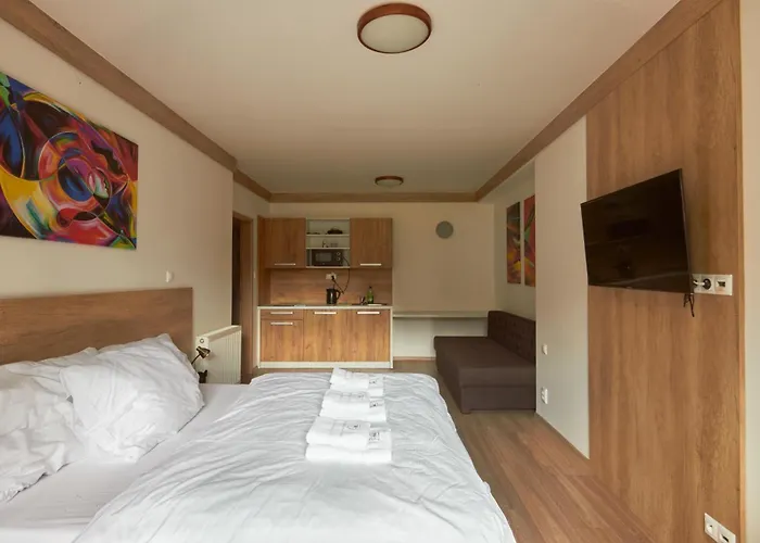 Appartement Nepouzivat Zazi *